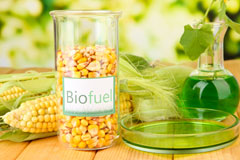 Patney biofuel availability